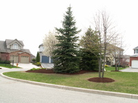 Landscaping on Master Court